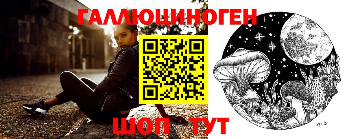 Галлюциногенные грибы Cubensis Ковров